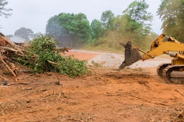 Ground Clearing in Bethlehem