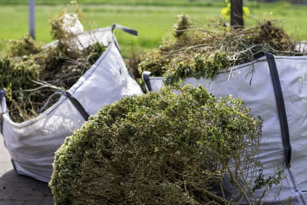 Cost of Bushes Clearing in Bethlehem