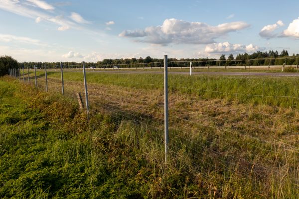 Cost of Property Line Clearing in Bethlehem
