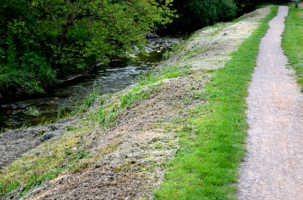 Cost of Trail Cutting in Bethlehem